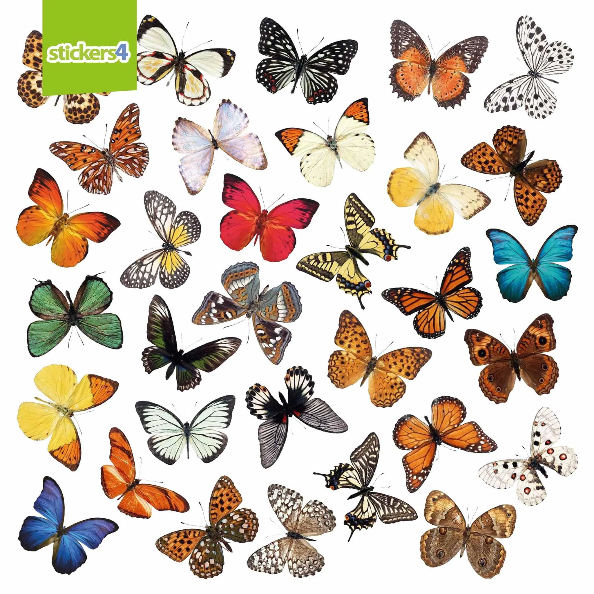 32 Photorealistic Butterfly Cling Window Stickers - Medium Size
