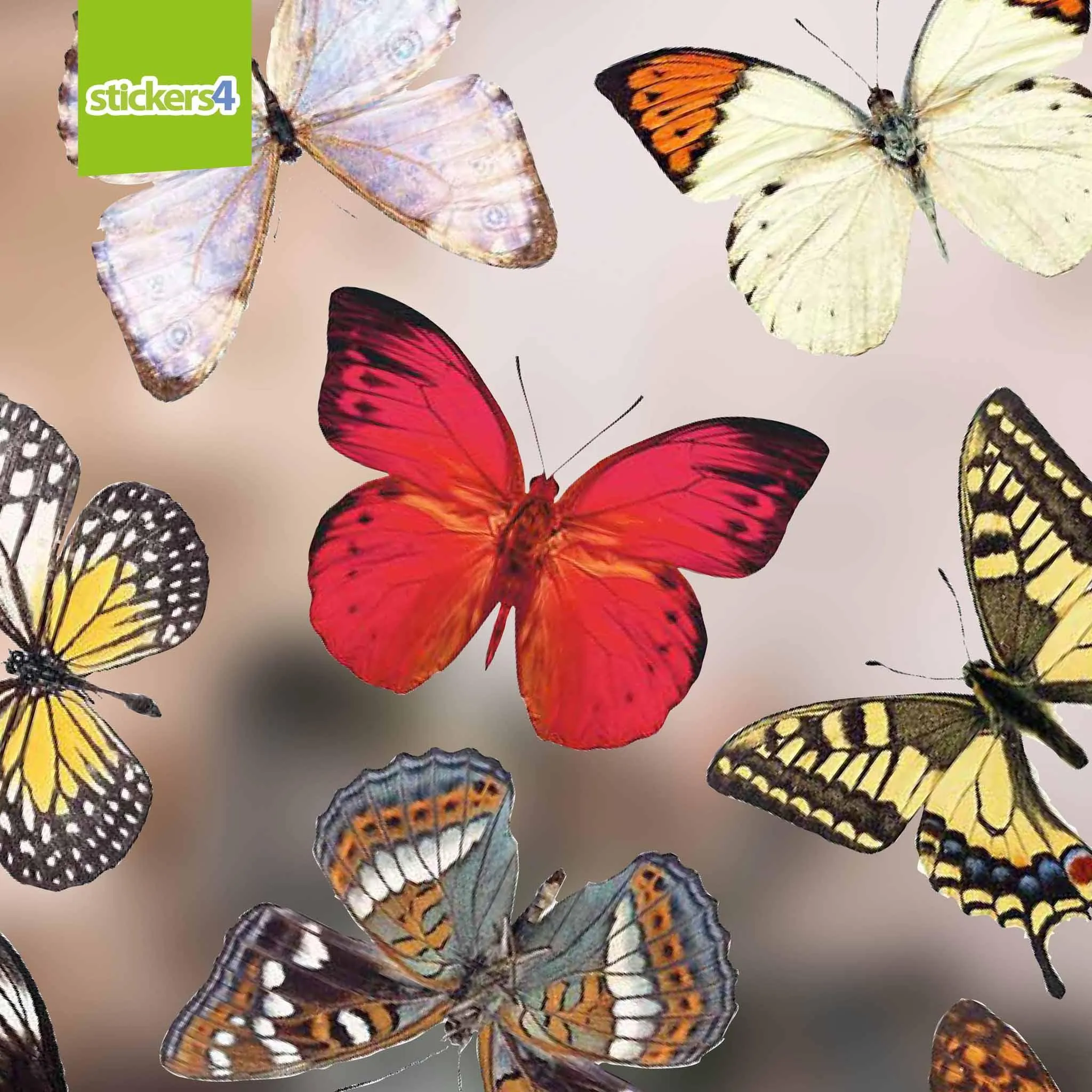 32 Photorealistic Butterfly Cling Window Stickers - Medium Size