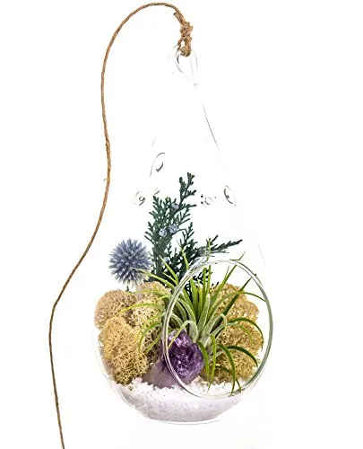 Air Plant Terrarium with Purple Amethyst Crystal - 7" Teardrop Glass - Shabby Chic
