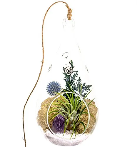 Air Plant Terrarium with Purple Amethyst Crystal - 7" Teardrop Glass - Shabby Chic