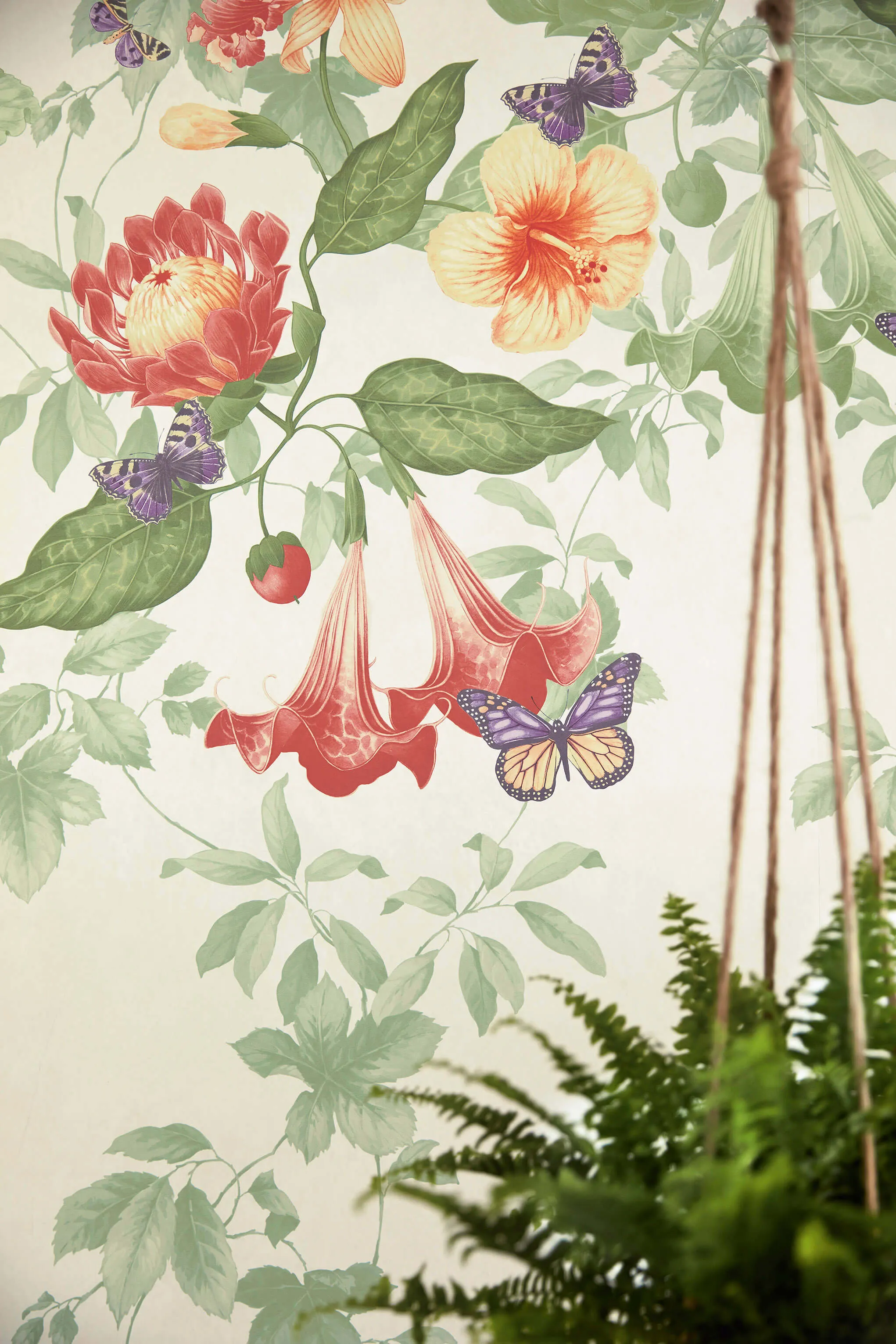 Asterid Wallpaper by Little Greene
