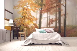 Autumn Fog Mural Wallpaper