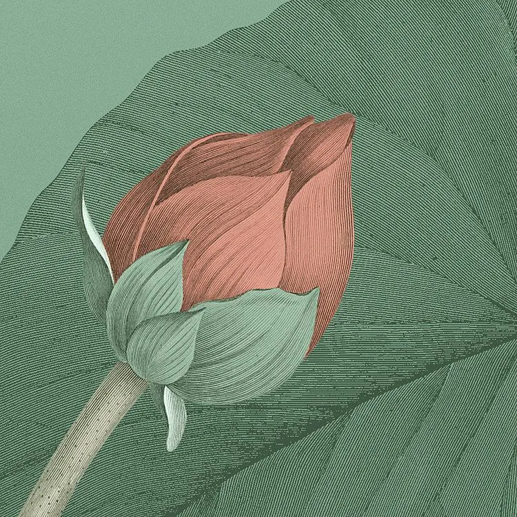 Blissful Mural Wallpaper