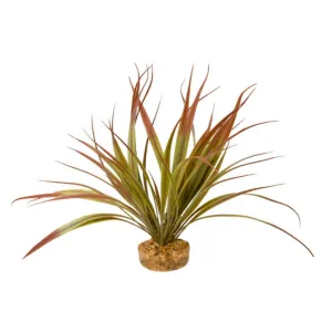 Blue Ribbon Colorburst Florals Amazonia Plant Plum