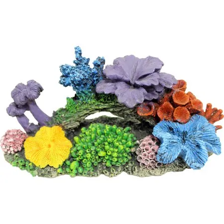 Blue Ribbon Exotic Environments Hawaiian Reef