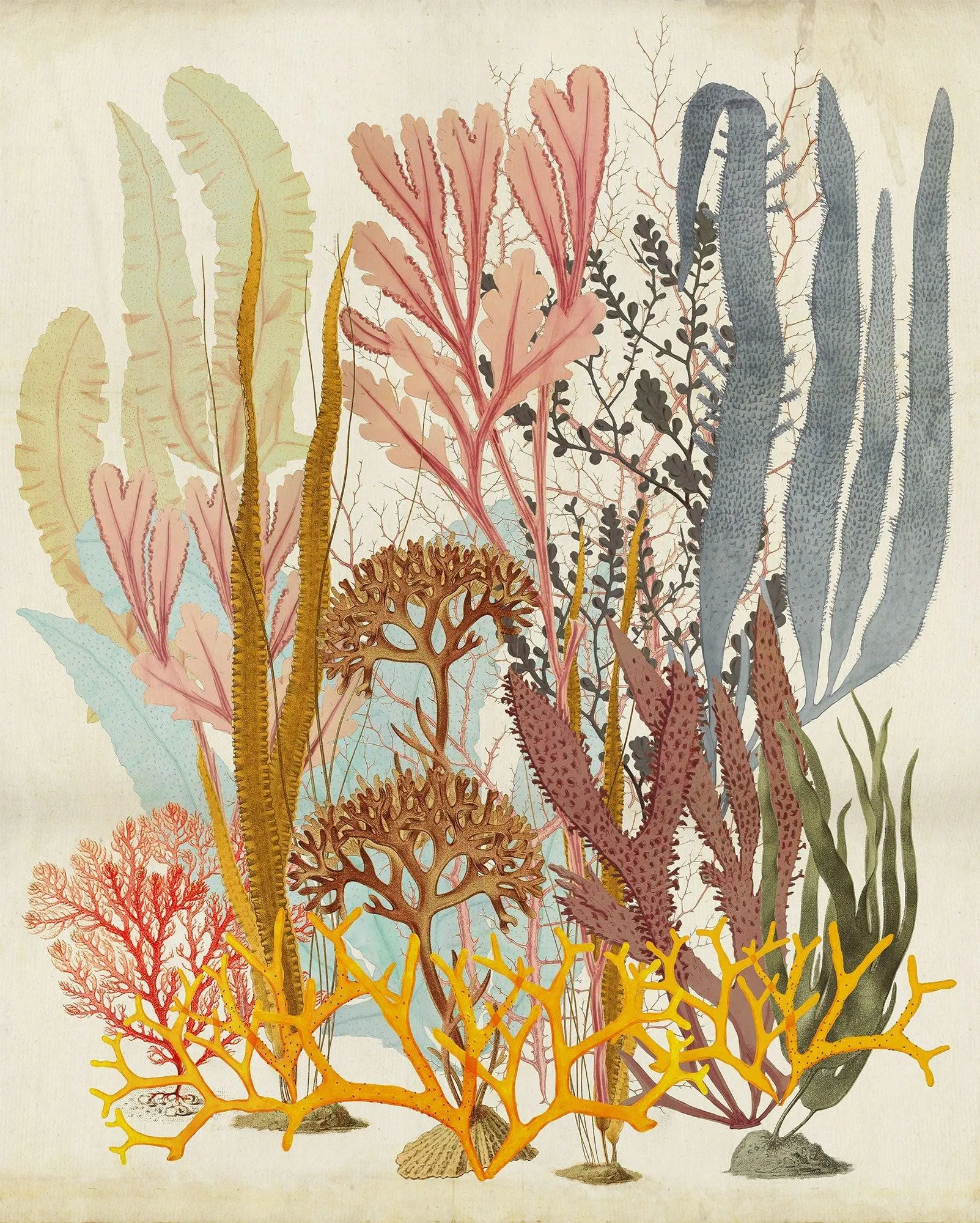 Catchy Corals Mural Wallpaper