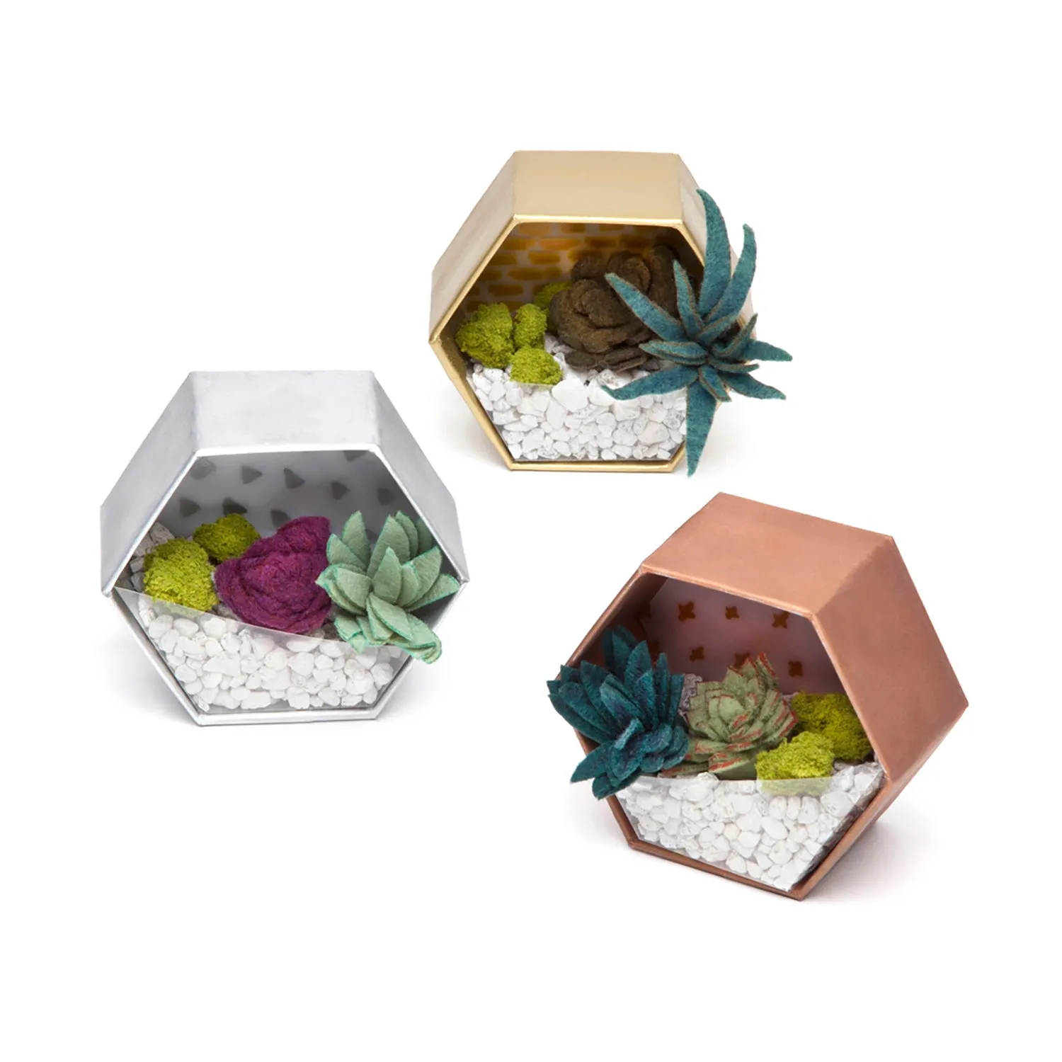 Craft Crush Mini Terrariums Kit - Create Felt Succulent Displays