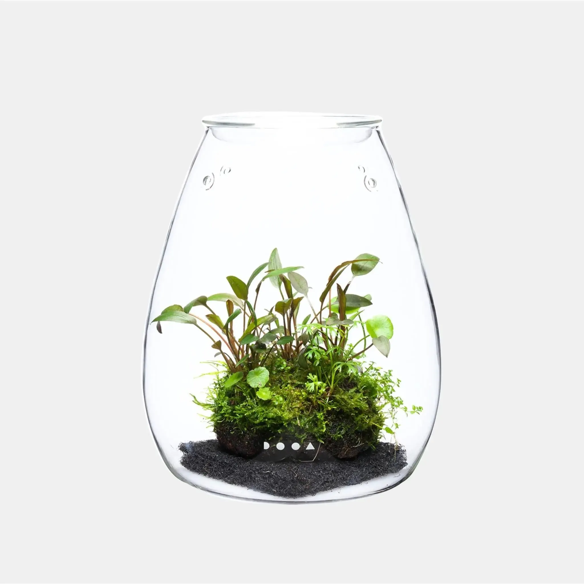 DOOA Glass Pot Shizuku