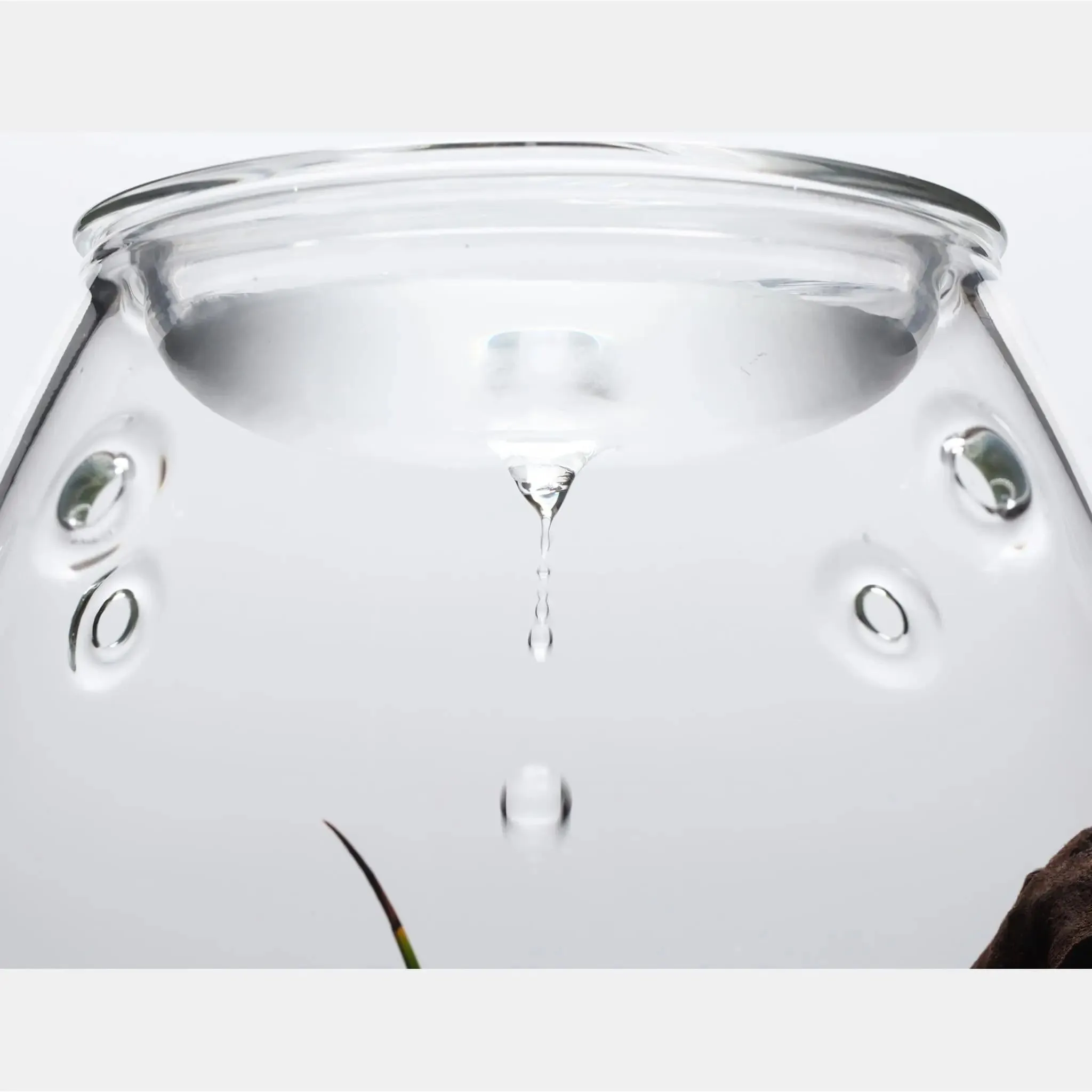DOOA Glass Pot Shizuku