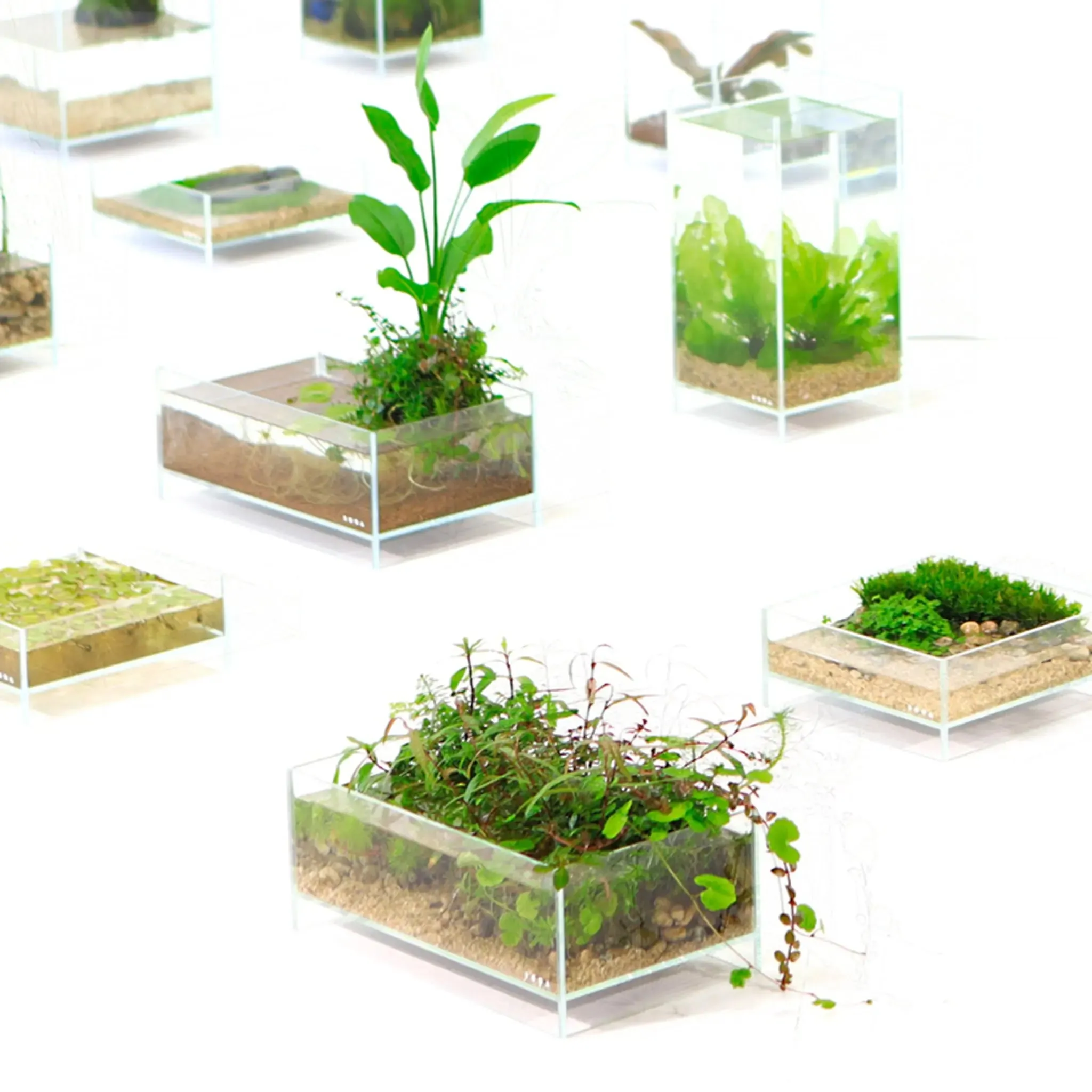 DOOA Neo Glass Air (15x15x25cm)