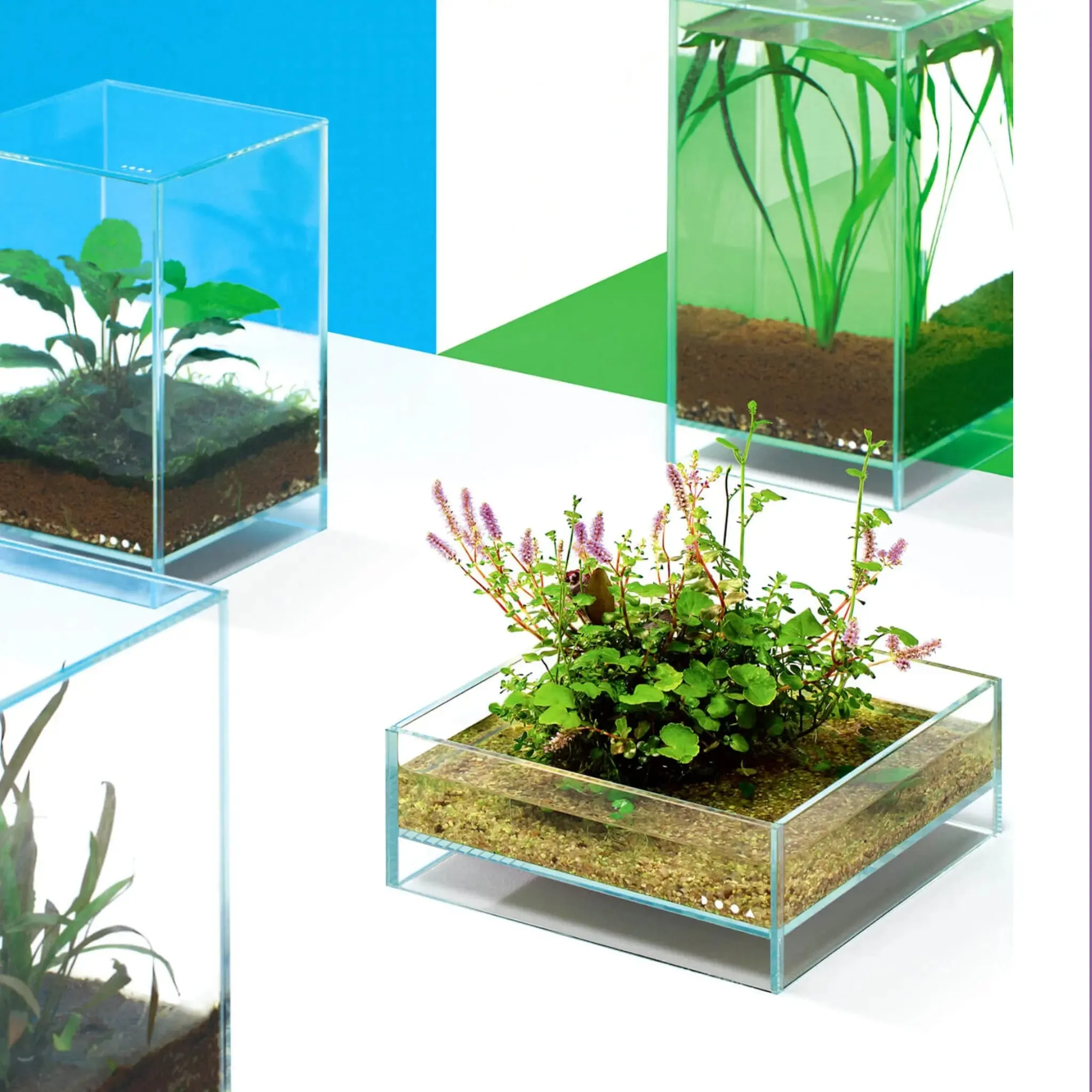 DOOA Neo Glass Air (15x15x25cm)