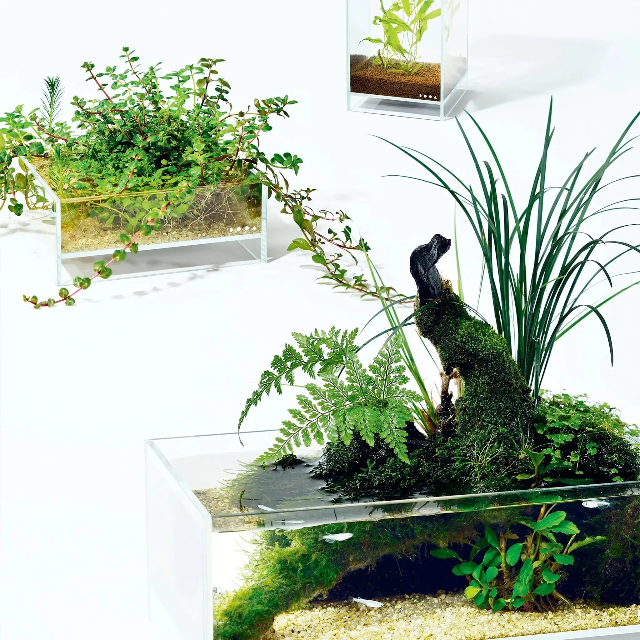 DOOA Neo Glass Air (15x15x25cm)
