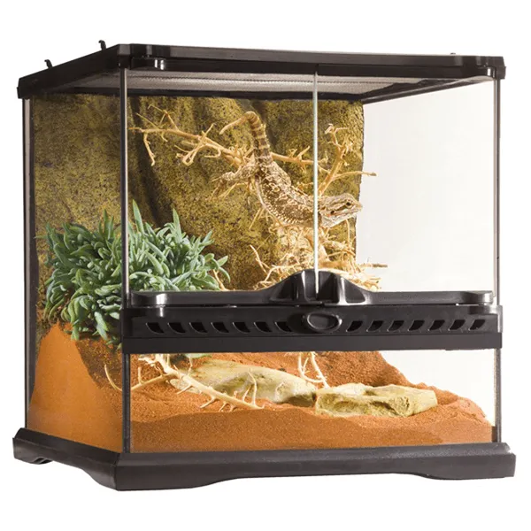 Exo Terra Mini Wide Terrarium - 12" x 12" x 12"