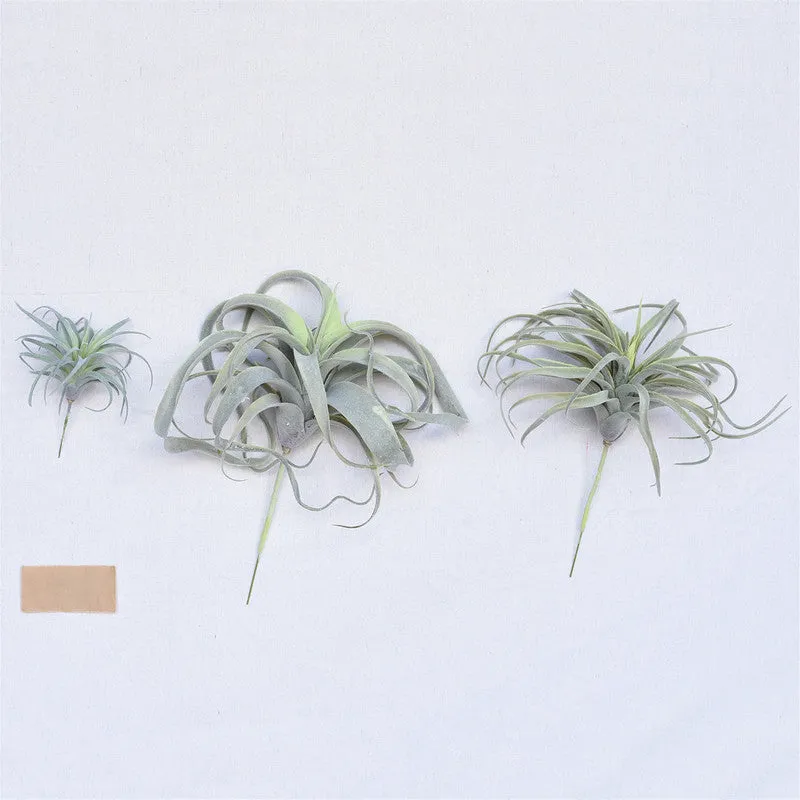 Faux Tillandsia - Lrg