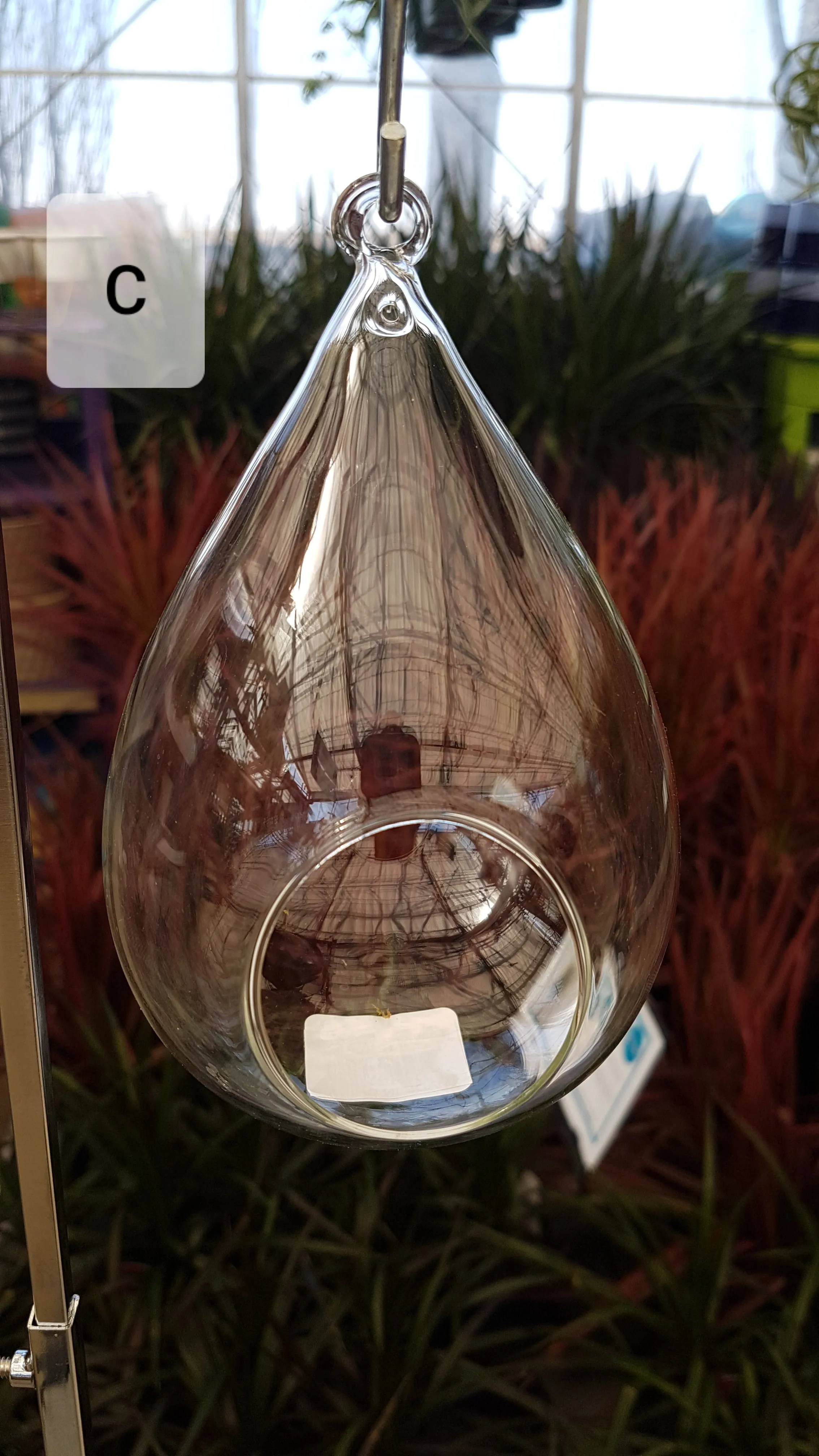 Hanging Glass Terrarium