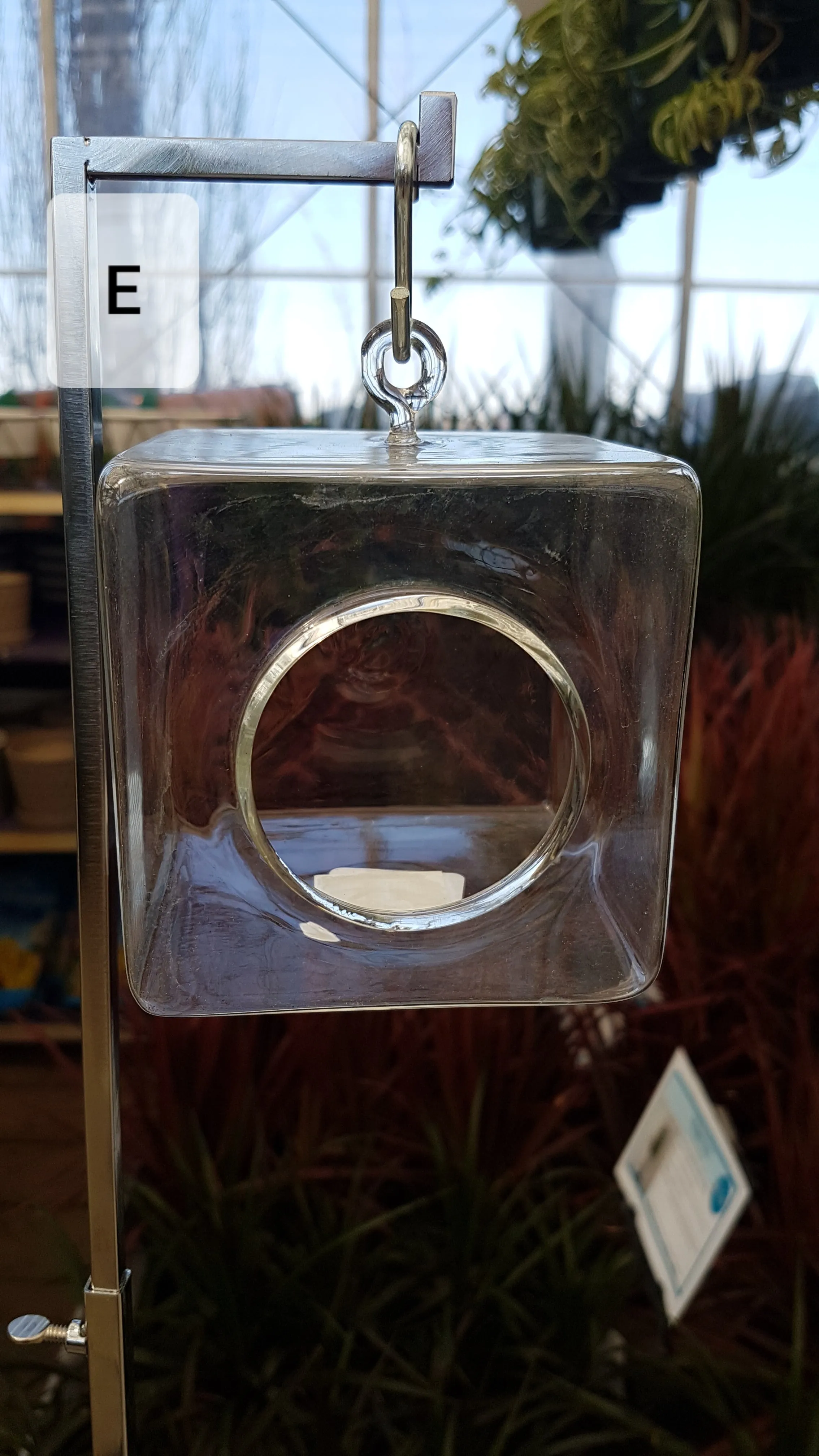 Hanging Glass Terrarium