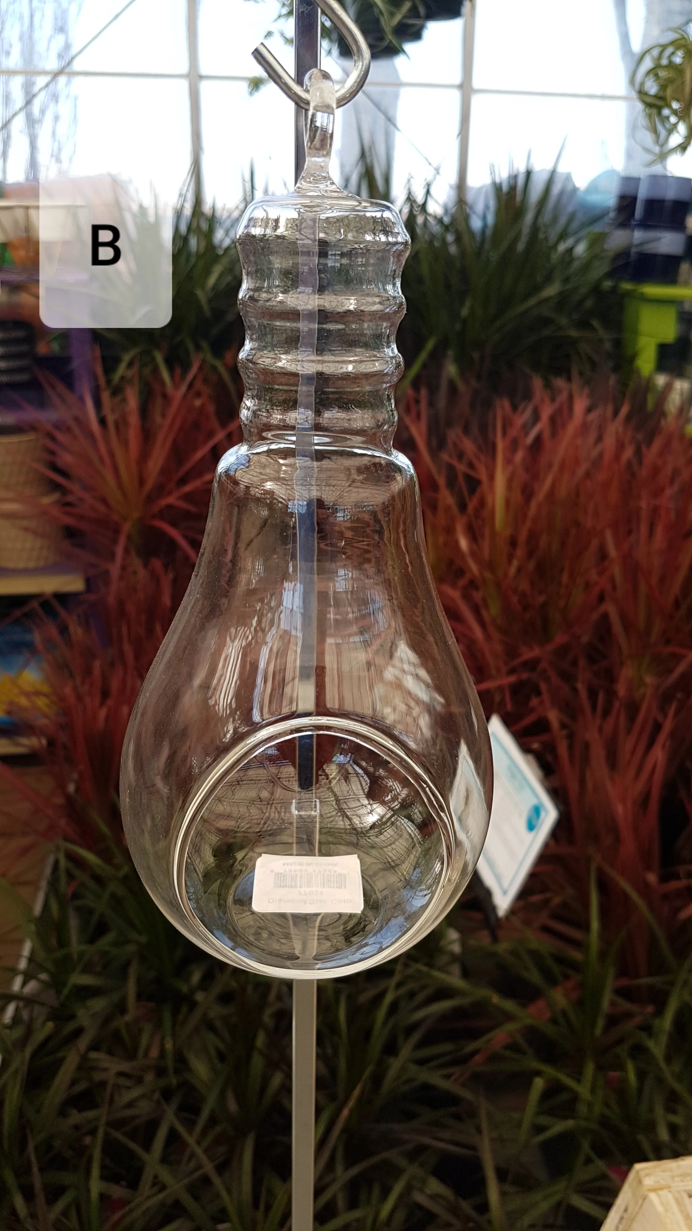 Hanging Glass Terrarium