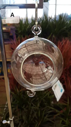 Hanging Glass Terrarium