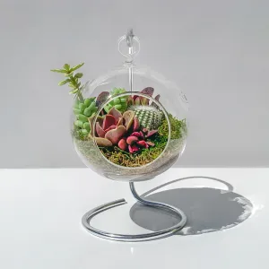 Hanging Succulent Terrarium (Multiple Hanger Colors) - Small