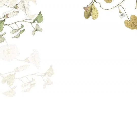Hedera Ivy Mural Wallpaper