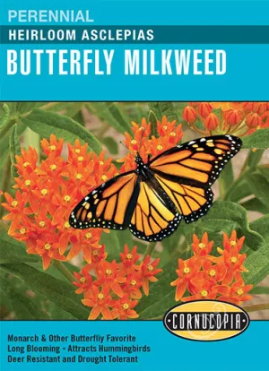 Heirloom Asclepias "Butterfly Milkweed"