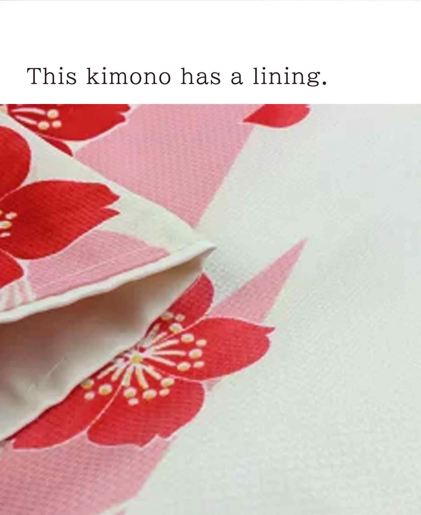 Kimono 4 Piece Coordinate Set / Kimono, Obi, Obi-age, Obi-jime / tailored M Size/white Cherry Blossom