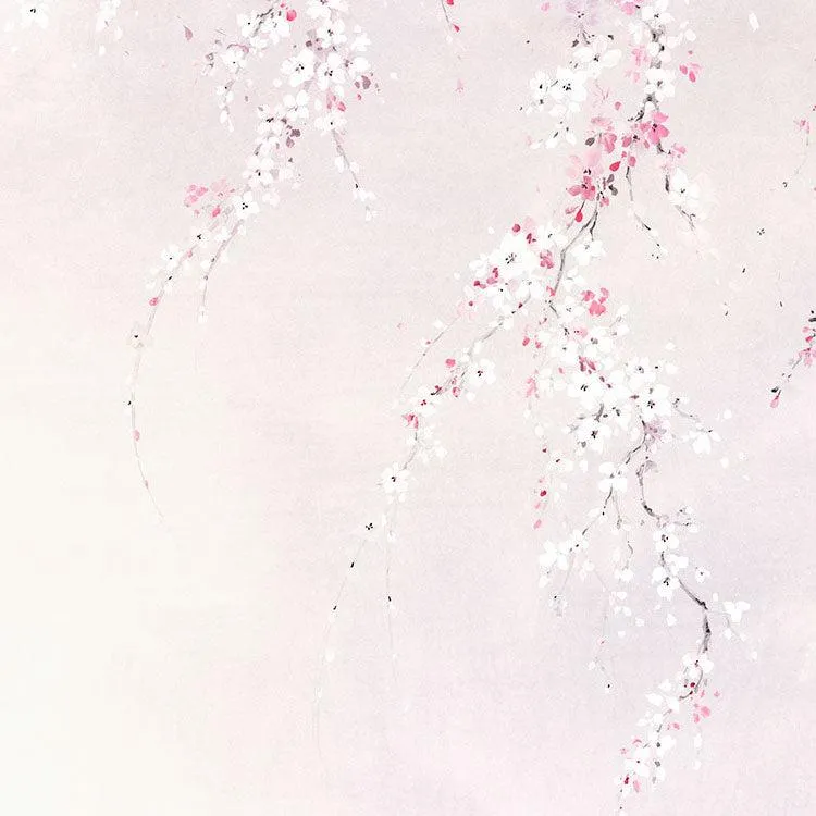 Kirschblüten Mural Wallpaper