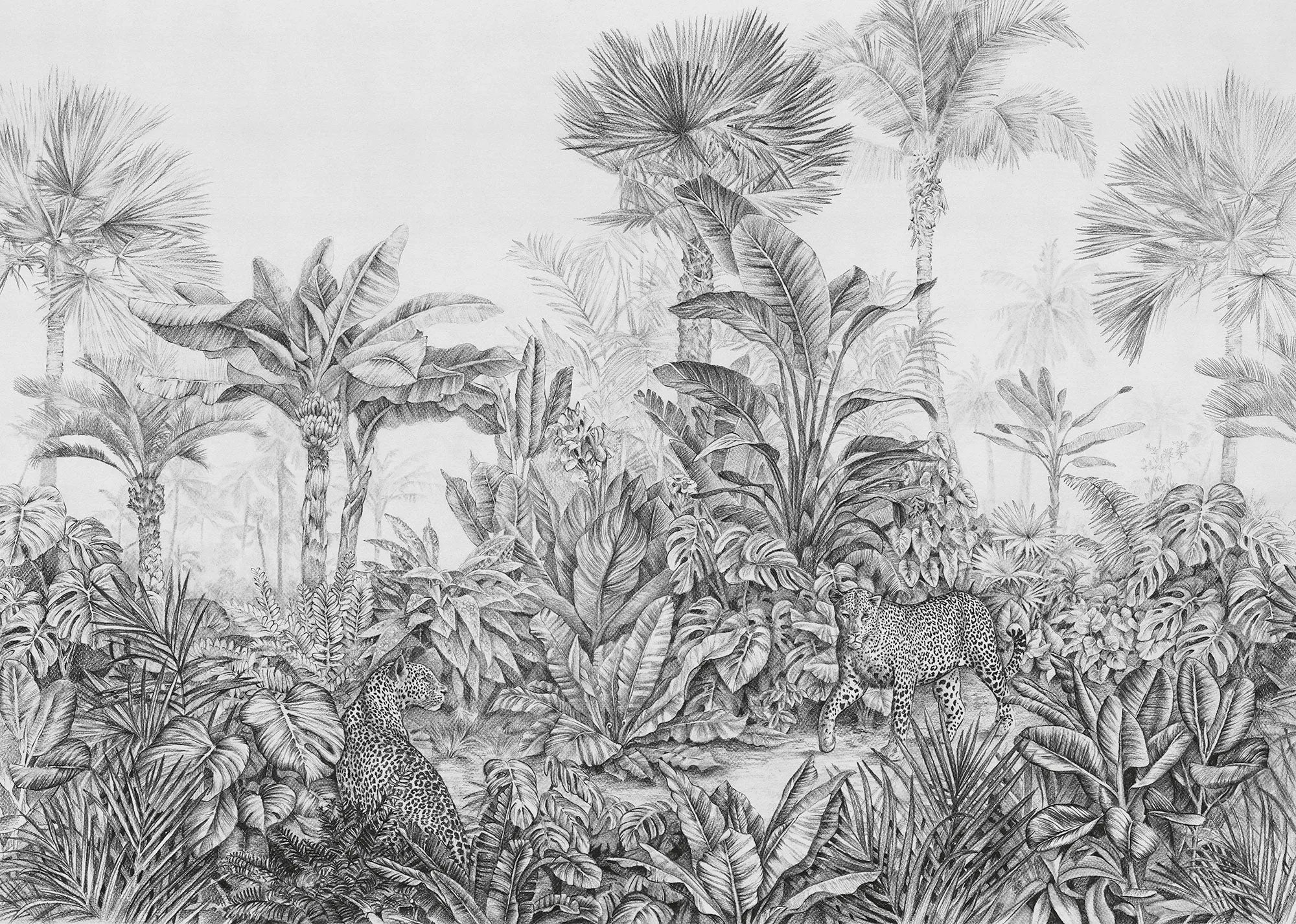 Léopards Mural Wallpaper