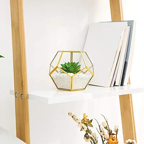 Mkono 4 Inches Mini Glass Geometric Terrarium Container Set of 3 Modern Tabletop Planter Shelves Decor Display Box Centerpiece Gift for Succulent Miniature Fairy Garden, Gold (Plant Not Included)