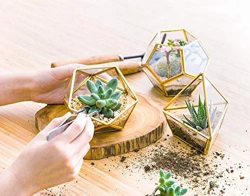 Mkono 4 Inches Mini Glass Geometric Terrarium Container Set of 3 Modern Tabletop Planter Shelves Decor Display Box Centerpiece Gift for Succulent Miniature Fairy Garden, Gold (Plant Not Included)