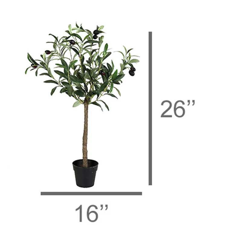 Olive Tree, Faux