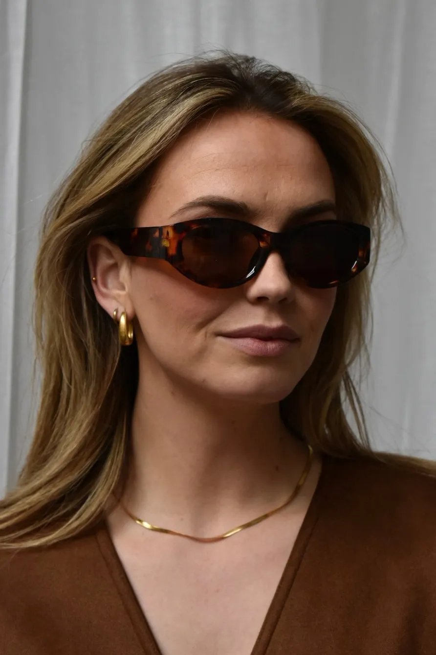 Spring Sunnies - Bruin