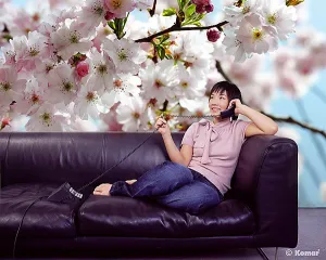 Spring Wall Mural