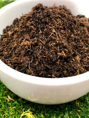 Terrarium Soil