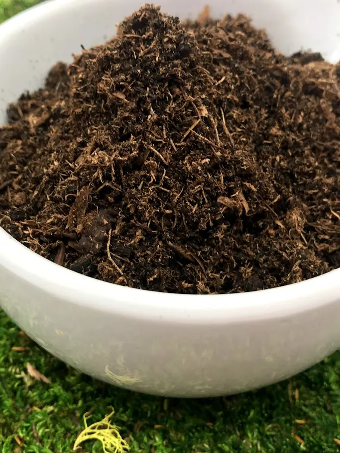 Terrarium Soil