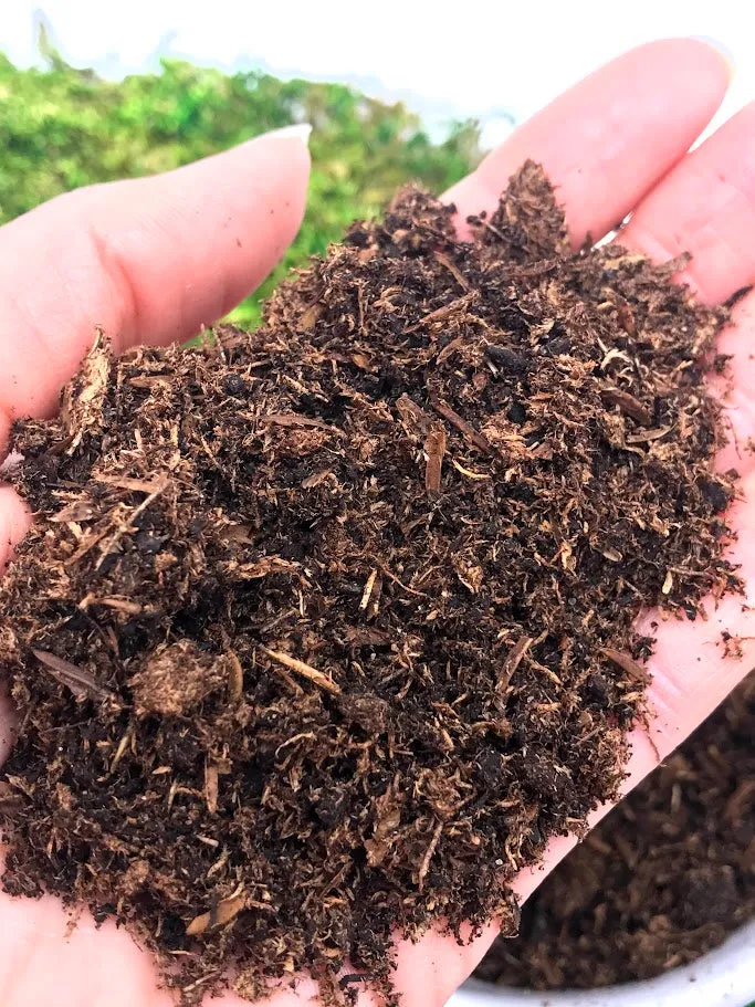 Terrarium Soil
