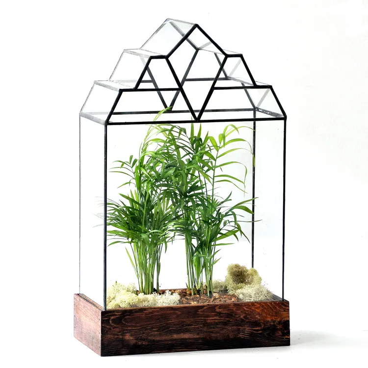 The Mendel Terrarium