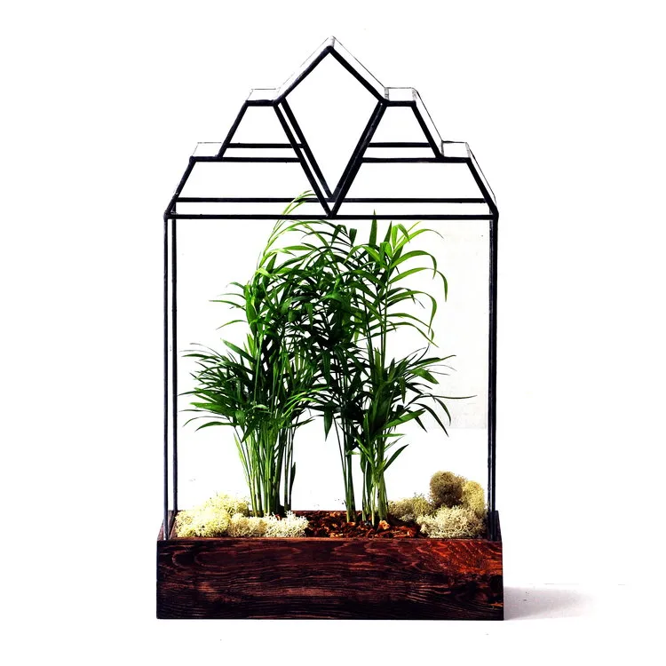 The Mendel Terrarium